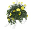 Artificial Yellow Morning Glory Display in a 10" Round Willow Hanging Basket